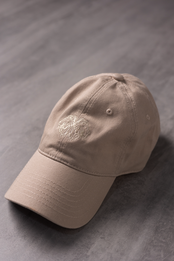 Boné DadHat Lionz - Bege